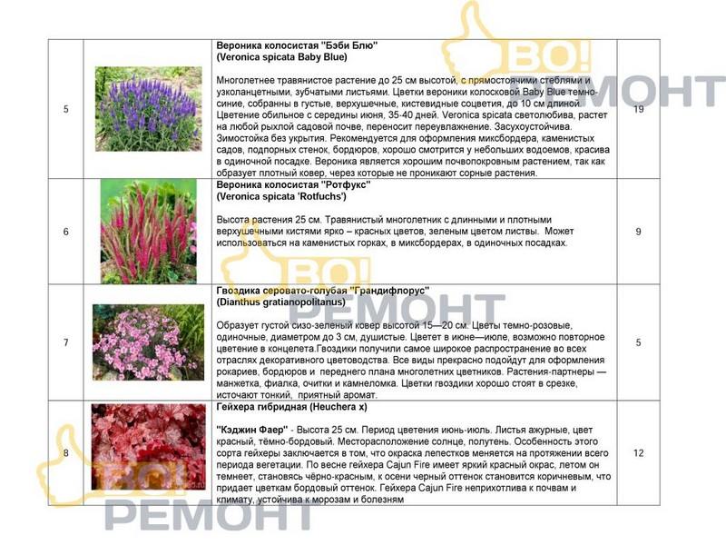 Проект благоустройства территории-102